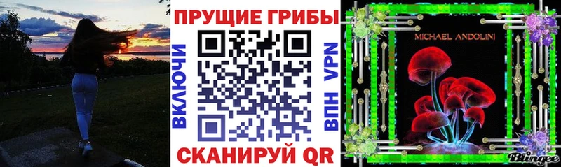 наркотики  Кемь  Псилоцибиновые грибы Psilocybine cubensis 